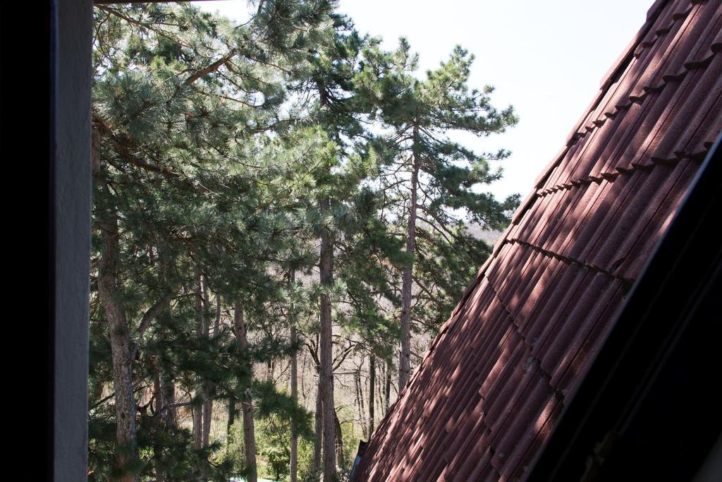 ホテル Berg Toboz Panzio ペーチ 部屋 写真