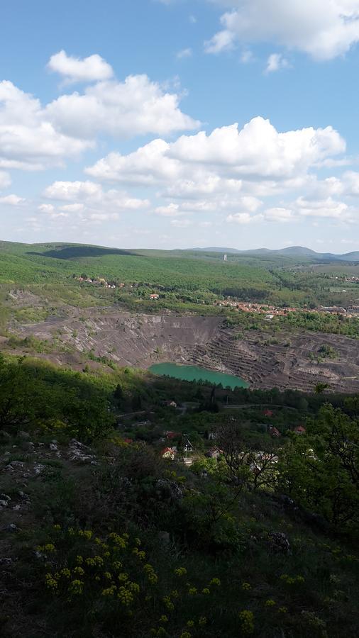 ホテル Berg Toboz Panzio ペーチ エクステリア 写真